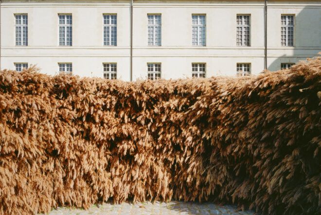A fuzzy wooden structure in front of a building