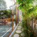 A outdoor area with stone steps and bamboo trees