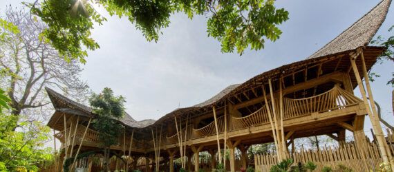 A long bamboo home