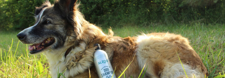 A dog laying on its belly on the grass with a bottle of shampoo leaning against its body