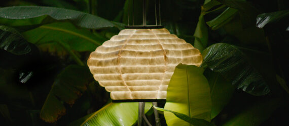 A lamp within banana leaves