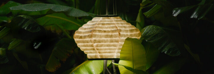 A lamp within banana leaves