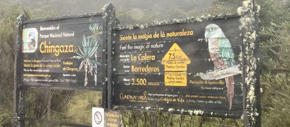 Park signs on wood and featuring native birds