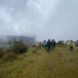 Tourists walking on a foggy day in the national park