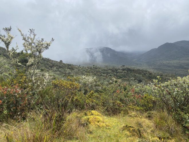 Foggy mountain view