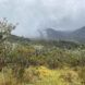 Foggy mountain view