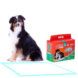 Border collie sitting in front of a dog pad