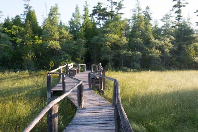 A wooden pathway with railings crossing through a field of grass