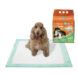 Small dog sitting on the dog pad