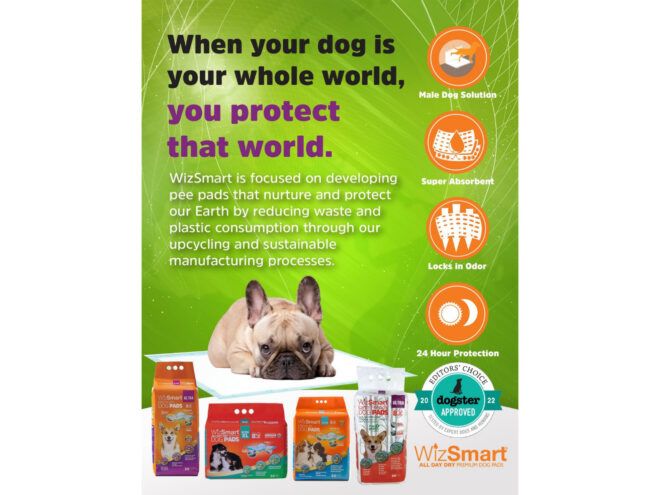 Another text graphic about WizSmart