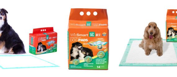 Dog pads packaging along with two sitting dogs