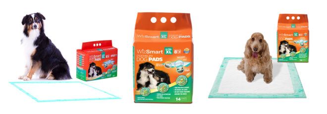 Dog pads packaging along with two sitting dogs