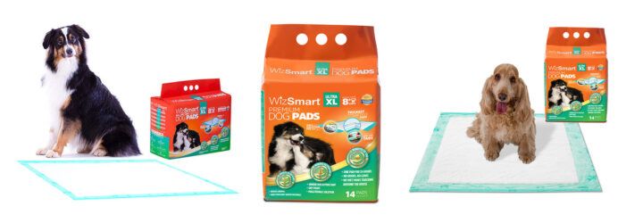 Dog pads packaging along with two sitting dogs