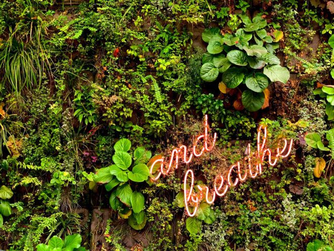 Green wall made with plants and a neon signs that says "and breathe"