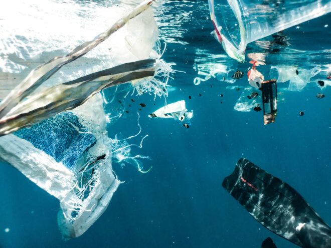Plastic in the ocean near a school of fish