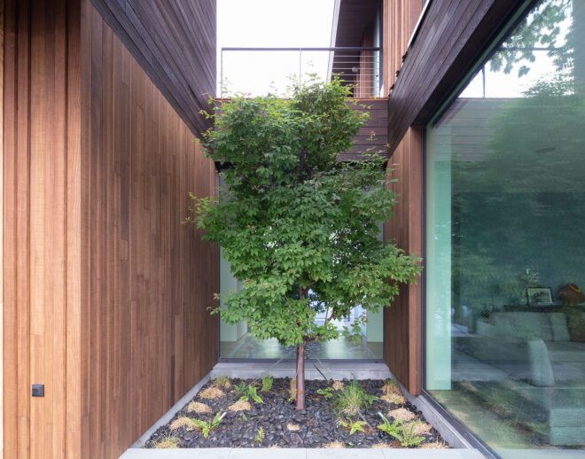 A tree in between two sections of a home