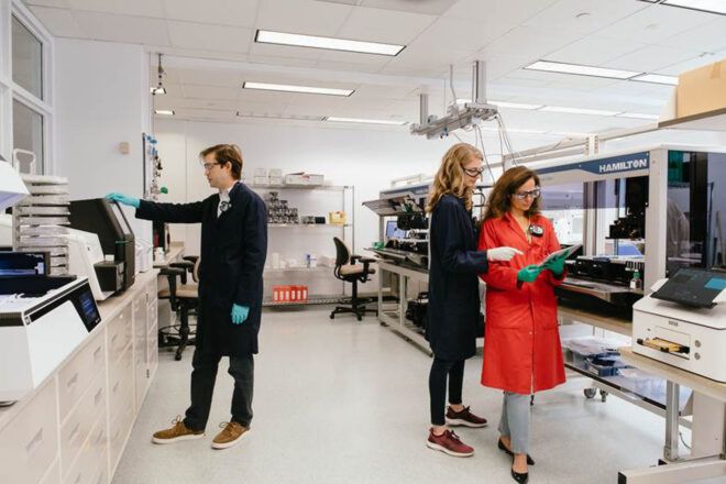 Scientists in the lab hard at work