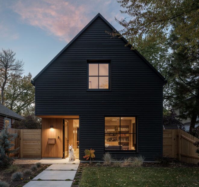Black wood passive house