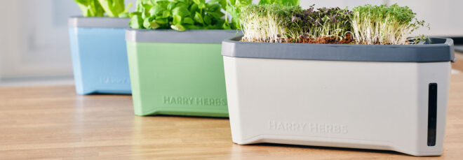 Blue, green and white options for the herb planter