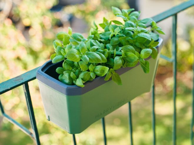 Versatility of the planter as an outside hanger