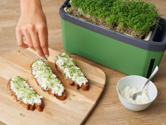 Someone adding herbs to their toast
