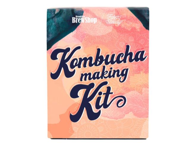 Kombucha making kit with pink background