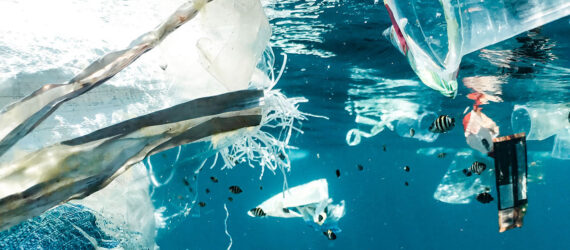 Plastic floating in the ocean