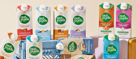An array of Nutpods coffee creamers against a cream background