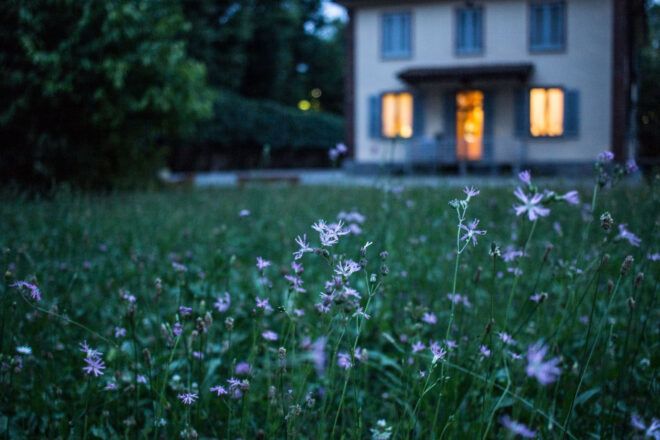 A house at dusk with white flowers in the yard