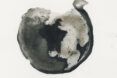 A black ink blot of a speciment