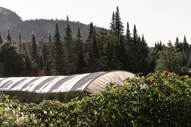 A tented area next to a forest