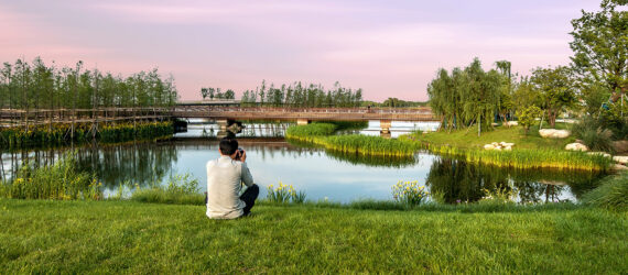 A man sitting down beside a river overlooking a park