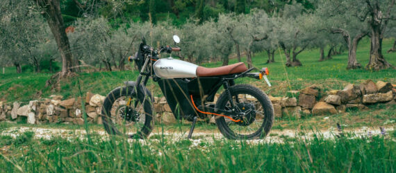 Motorbike on a path surrounded by trees and greenery
