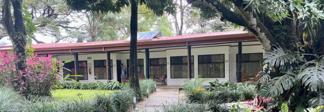 View of the ecolodge with native plants around