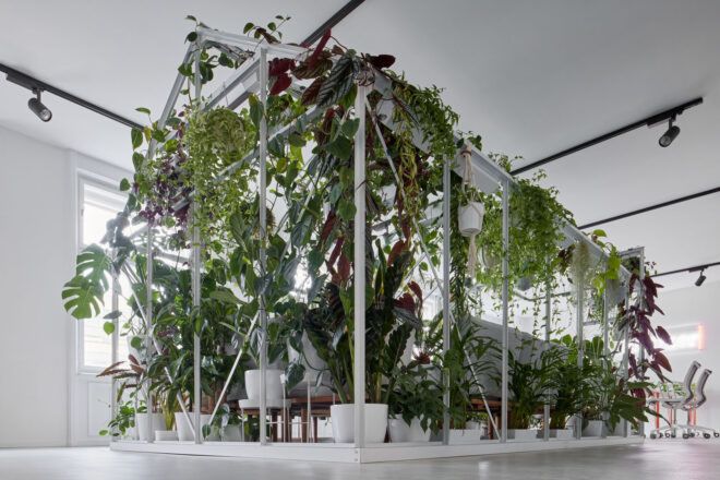 All-white office design with green plants in the middle