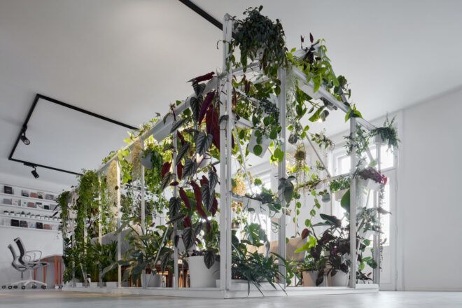 Plants on stands with natural light