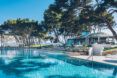 Crystal clear pools with trees