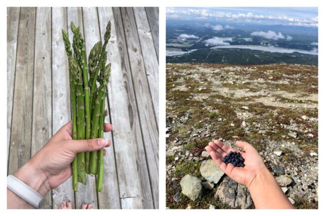 Two images left to right: A hand holding a bundle of asparagus, a hand cupping berries in the palm