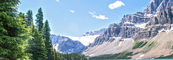 A mountain and forest landscape