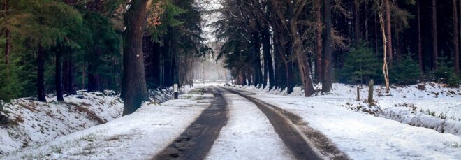 A snowy road with track marks through the forest