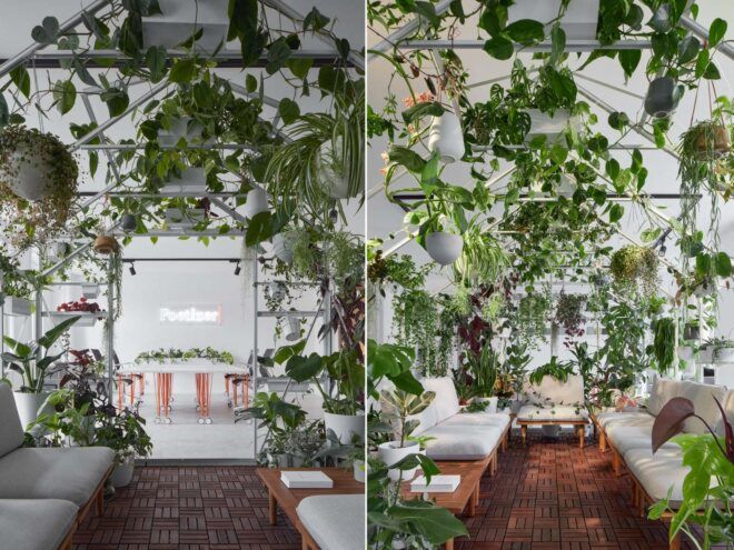 Plants climbing around center island space