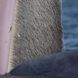 Incredible view of the inside of a whale's mouth