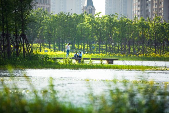A park by a pond