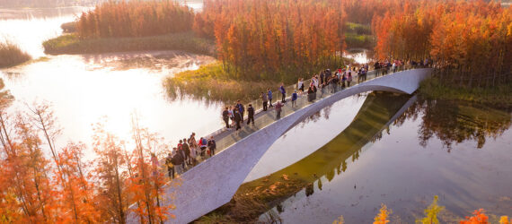 A white bridge connecting a lake
