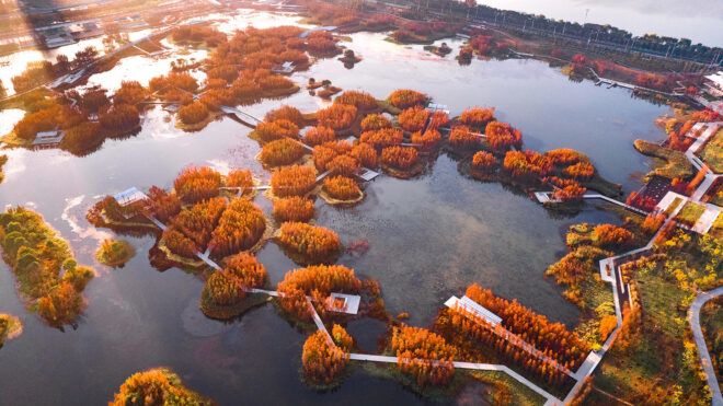 A floating park on a river
