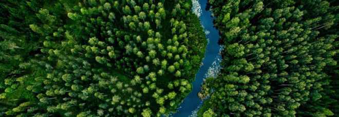 A forest range with a river running through it