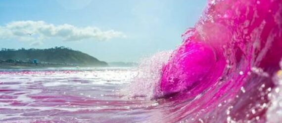 An ocean wave dyed pink