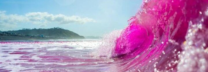 An ocean wave dyed pink