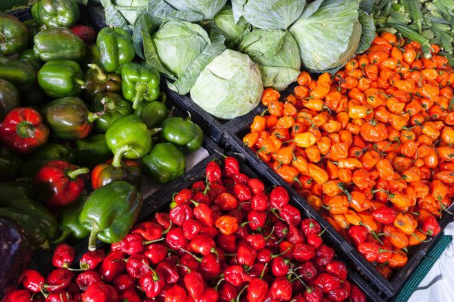 Various vegetables, including orange and red peppers, green bell peppers and cabbage