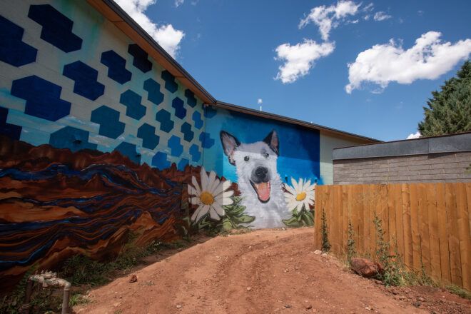 A wall mural with a picture of a white dog amidst daisys
